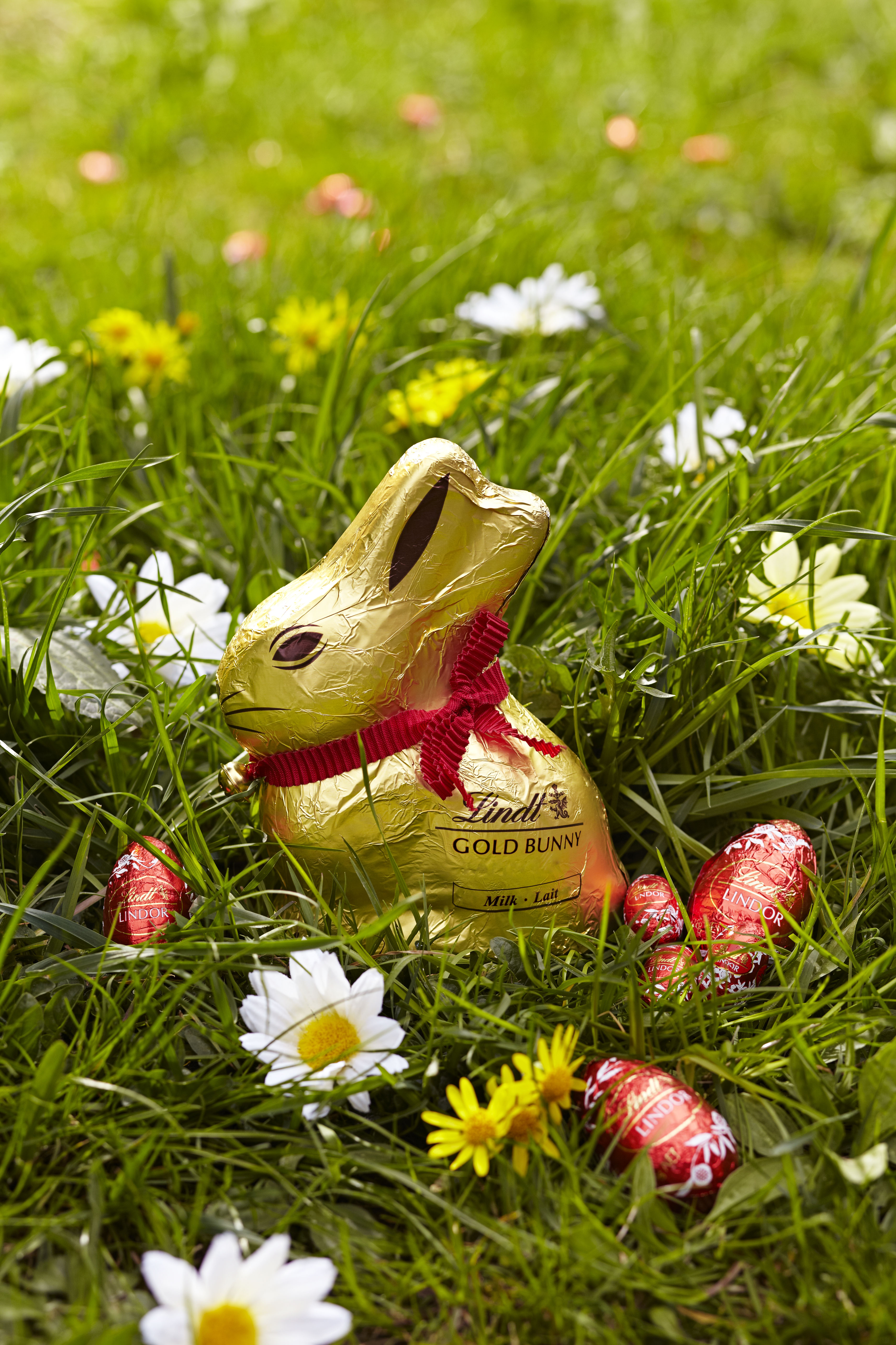 Lindt Gold Bunny