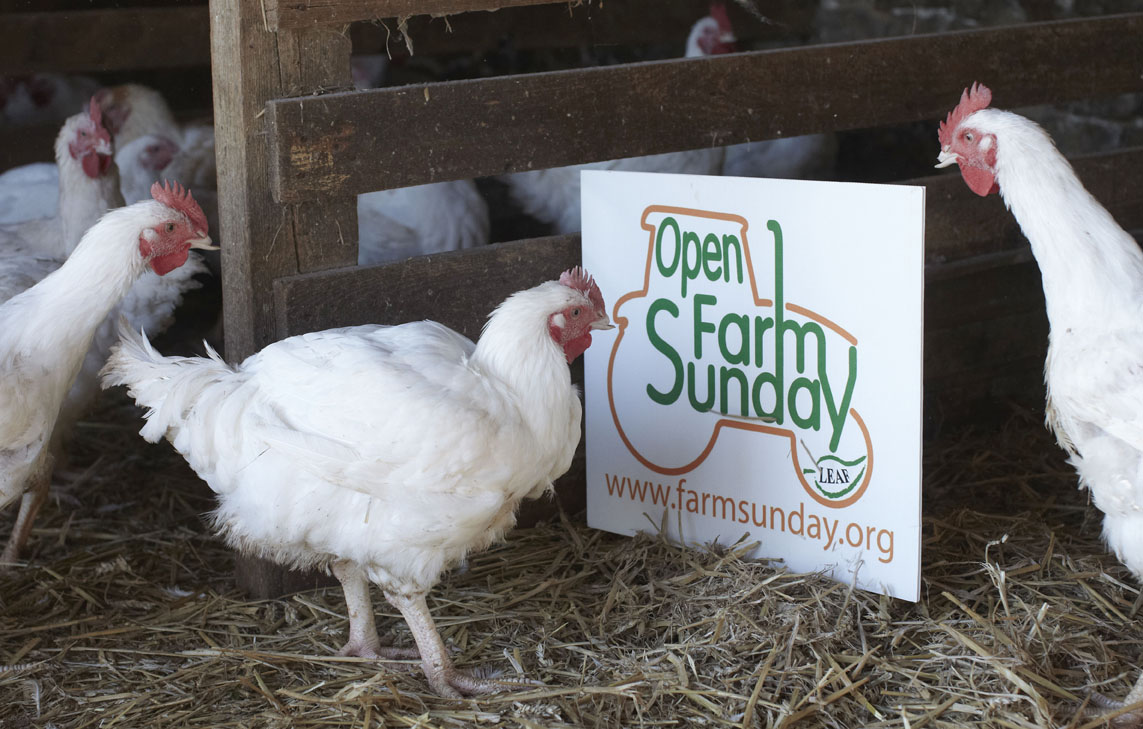 open farm day