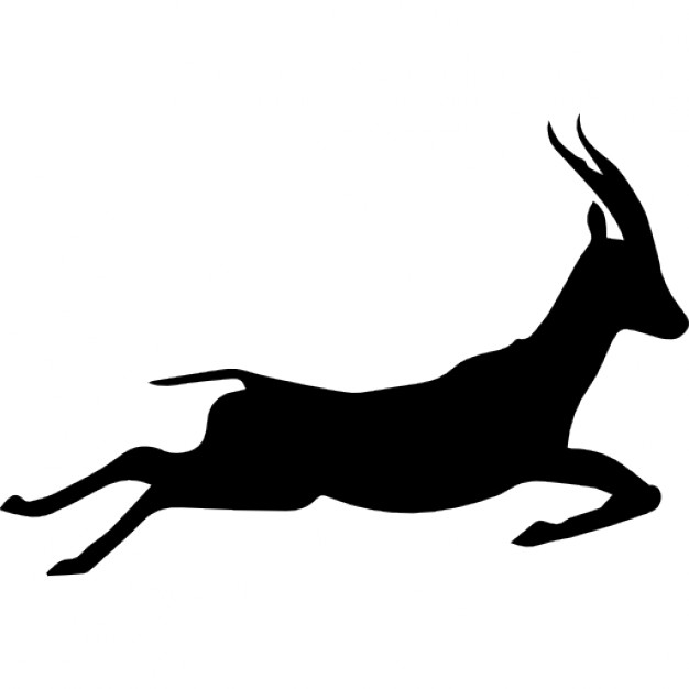 gazelle