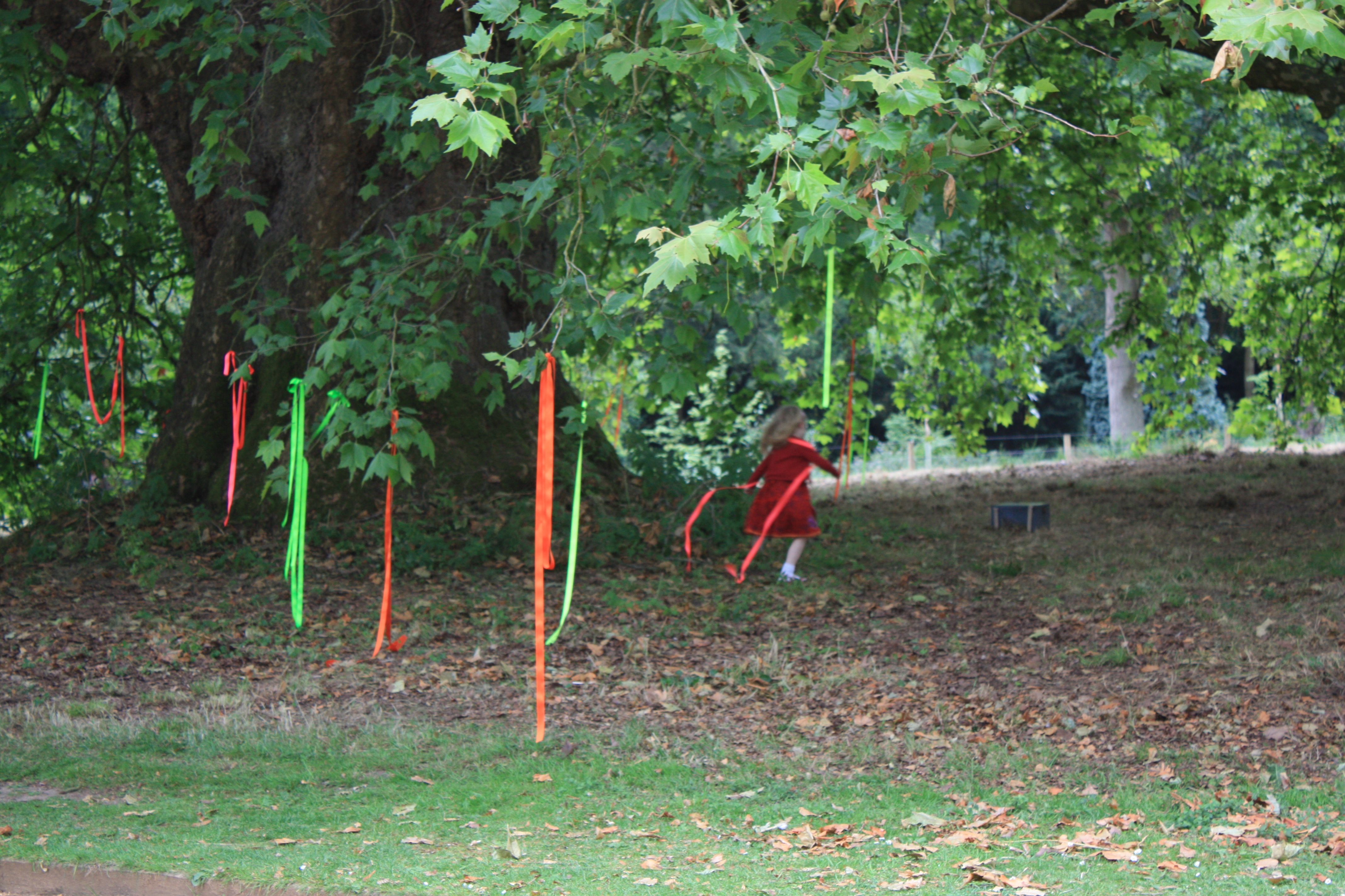 Mottisfont memory tree