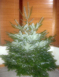 Christmas tree