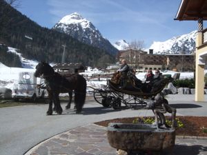 Wiesenhof carriage ride